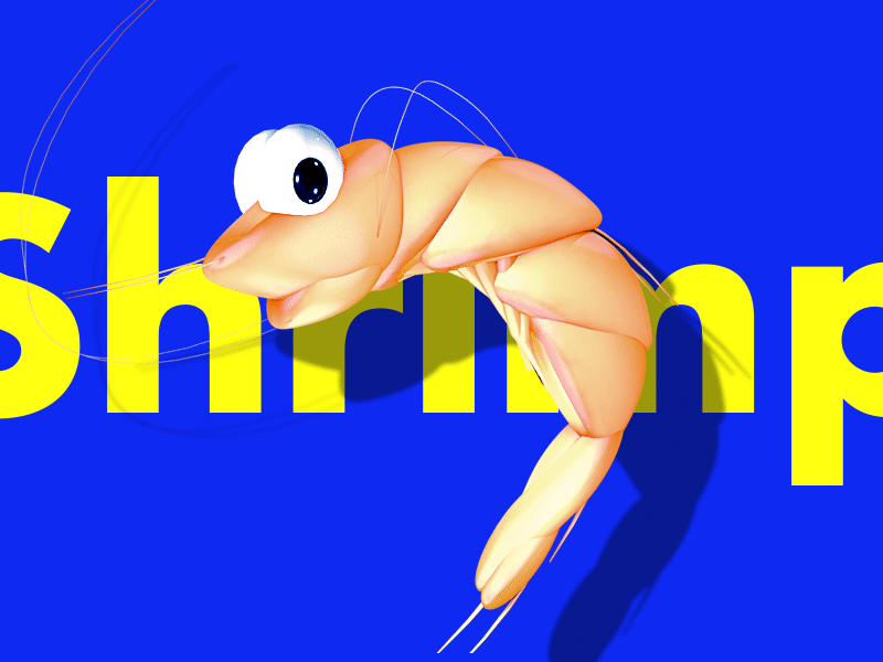 Shrimp for AE